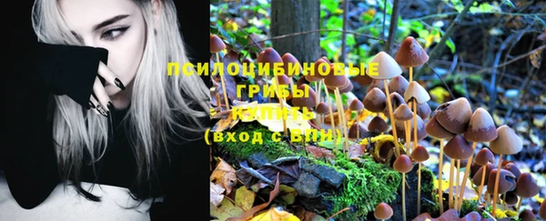 кокаин колумбия Алзамай
